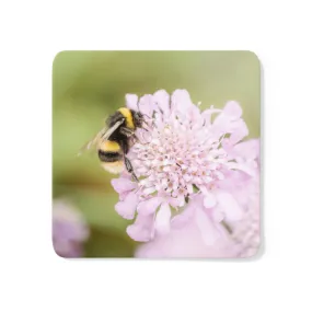 Bee on Scabious Flower Coaster