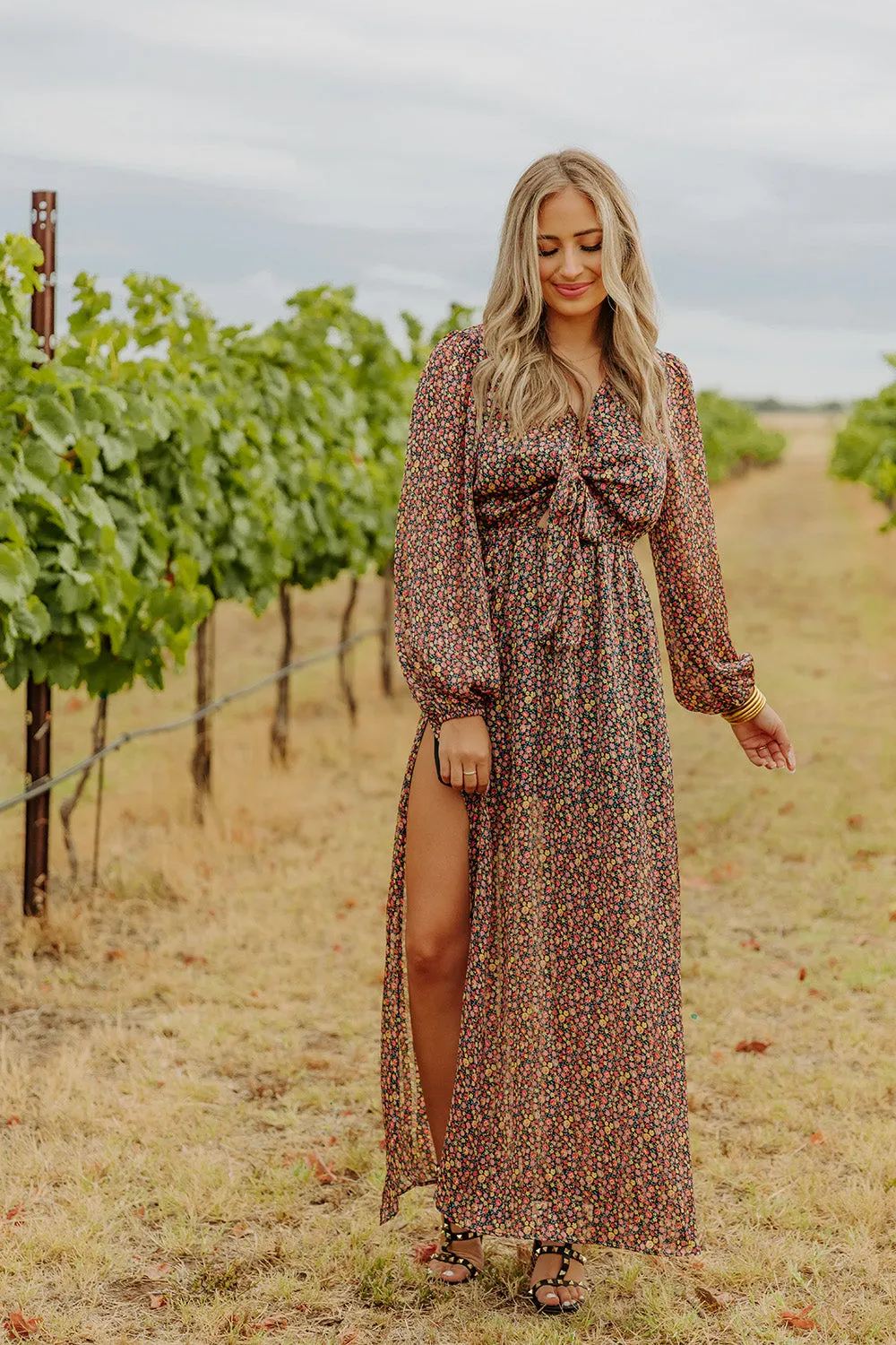 Desirae Long Sleeve Maxi Dress - Color Burst