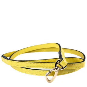 Leap Frog Dog Leash in Canary Yellow & Gold