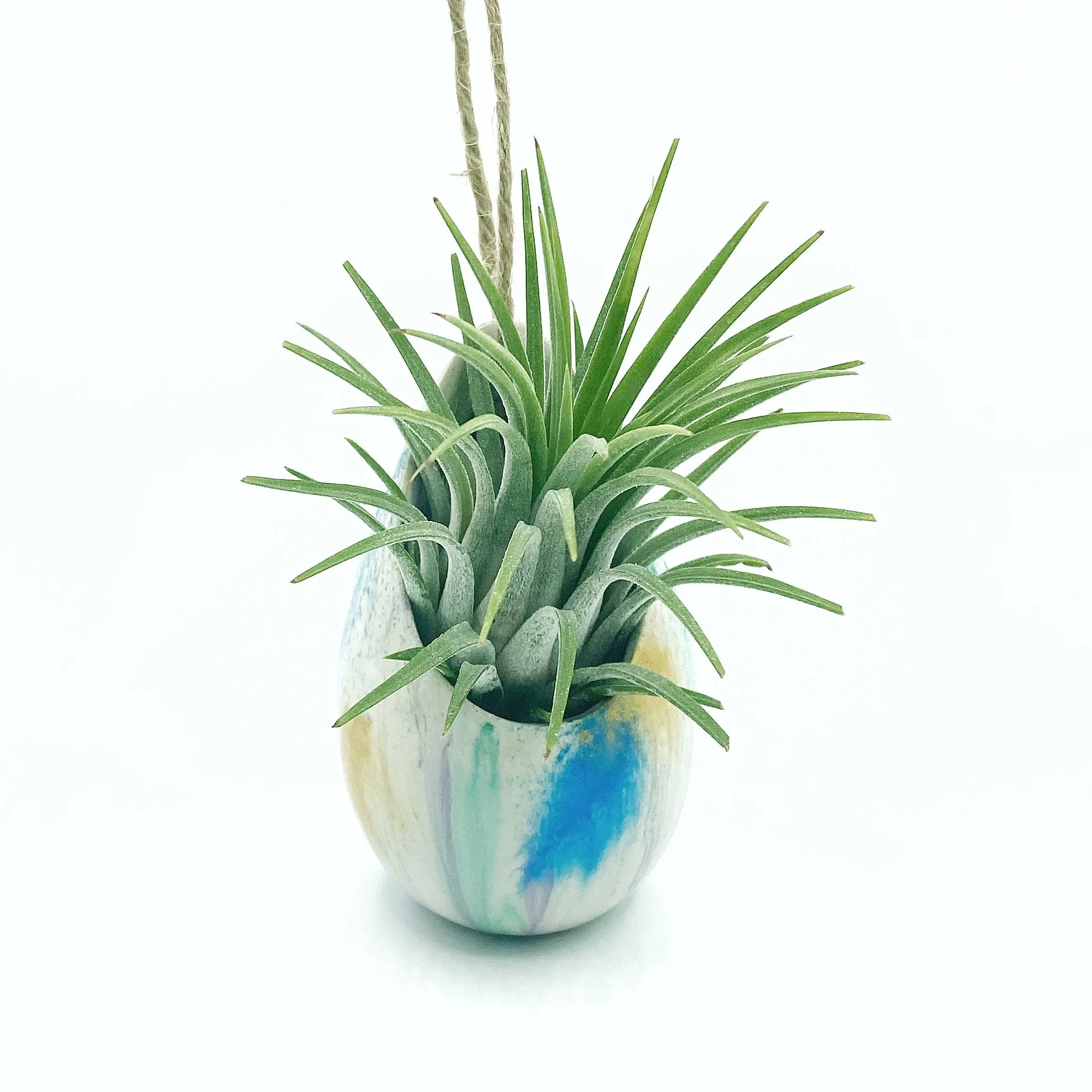 One of a Kind Air Plant Holder   Rubra