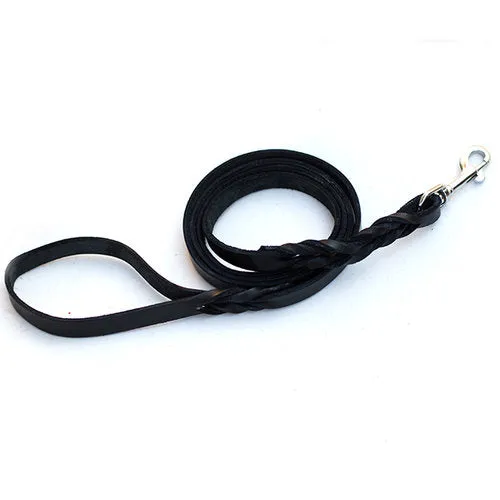 Standard 4' Leash