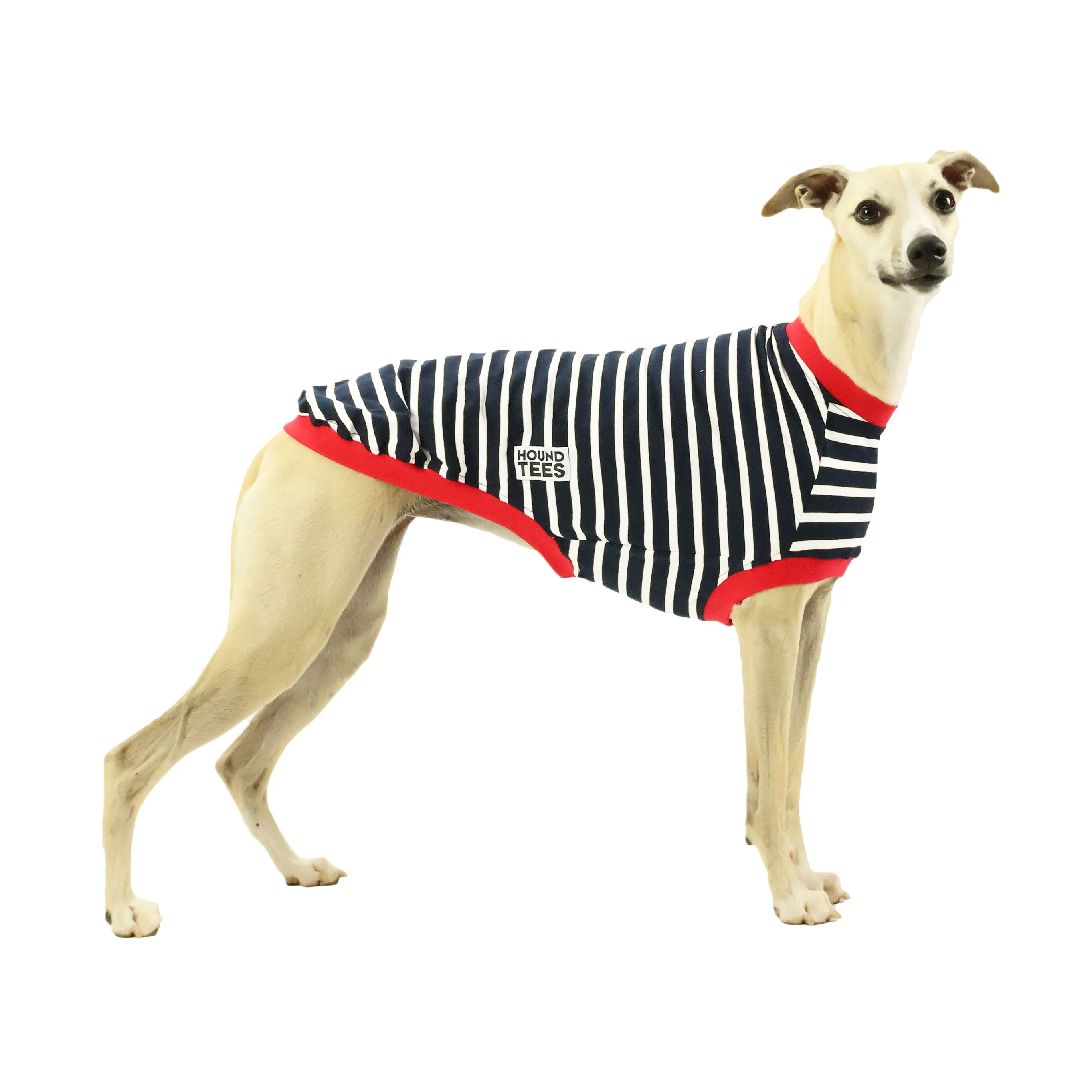 The Aussie Whippet Sleeveless Hound-Tee