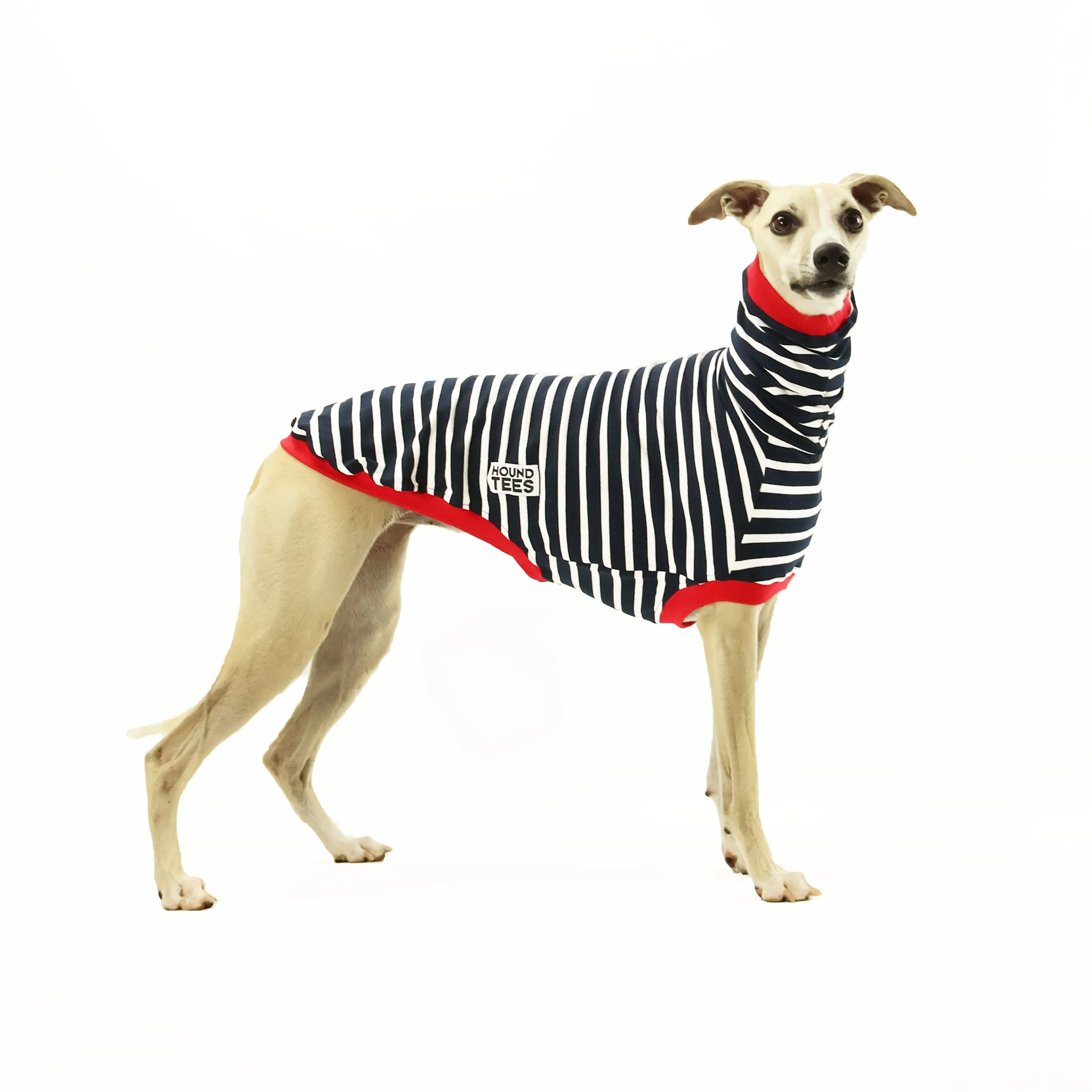 The Aussie Whippet Sleeveless Hound-Tee